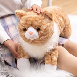 Big Simulation Animal Cat Plush Toy Cute Pet Kitten Doll comfort Sleeping with Pillow Girls and Children Birthday Gift 70cm 28inch DY10072