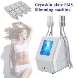 2 IN 1 cryolipolysis portable cryoskin ems shape slimming machine cool cryotherapy beauty equipment