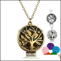 Pendant Necklaces Pendants Jewellery Aromatherapy Necklace Hollow Out Phase Box Picture Frame Maam Special-Purpose Per Emission Organ Drop D