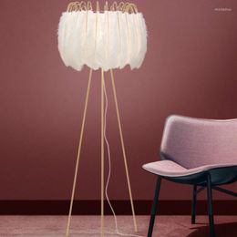 Floor Lamps Feather Lamp Ins Wind Net Red Nordic Living Room Minimalist Light Luxury Table Bedroom Bedside Kid LB031418Floor