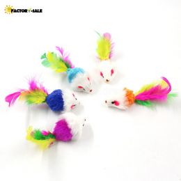 NEW Colorful Feather Grit Small Mouse Cat Toys For Cat Feather Funny Playing Pet dog Cat Small Animals feather Kitten