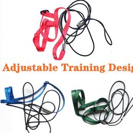 Parrot Bird Harness Leash Outdoor Flying Traction Straps Band Adjustable Anti-Bite Training Rope 389 D3