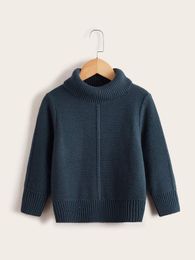 Toddler Boys Turtle Neck Sweater SHE01