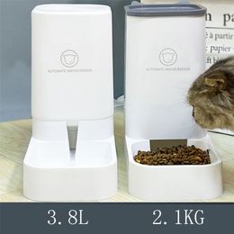 Cat Food Dispenser Pet Automatic Water Feeder 3.8L Drinking Fountain For Cats Small Dog Feeding Bowl 220323