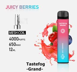 QK Original Tastefog Grand Rechargeable Disposable Vape 4000 Puffs 2022 E Cigarette Pods Plus Factory Direct Wholesale 100% Top Quality 2%