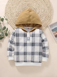Toddler Boys Plaid Half Button Contrast Panel Hoodie SHE