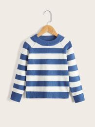 Toddler Boys Colorblock Raglan Sleeve Sweater SHE01