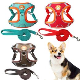 Dog Collars & Leashes 2Pcs/Set Pet Dogs Harness Durable Universal Training Leash Kit Fine Workmanship Chest StrapDog