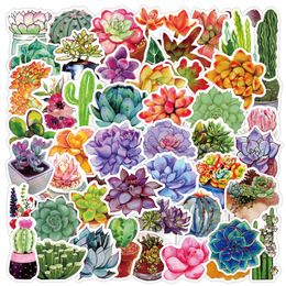 50pcs Succulent Plants Stickers Outdoor Skate Accessories For Skateboard Laptop Luggage Bicycle Motorcycle Phone Car Decals Party Decor