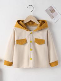 Toddler Boys Two Tone Flap Detail Hooded Jacket SHE