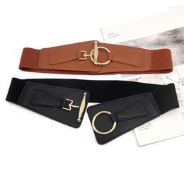 Belts Women's Fashion Wide Belt Elastic Stretch Cinch Waistband Lady Cummerband Skinny Soft Around Waist Band Simple Femme DressBelts Sm