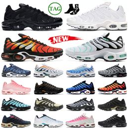 Tn Azul Oferta Online | DHgate.com
