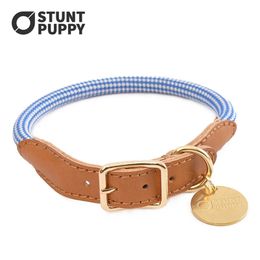 Stunt Puppy Personalised Dog Collar Cow Leather And Dupont Silk Climbing Rope Pet Big Leash LJ201111