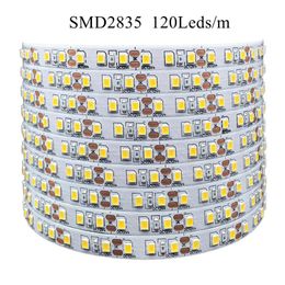 2835 LED Light Strip 12V 600Leds 1200Leds LED Tape Lamp Rope Blue/Red/Green/White /Warm White Room Decoration TV Backlight