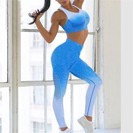 Women Ombre Seamless Gym Fitness Suit Bra Leggings High Waist Yoga Sets Running Tights Scrunch Butt Running Sport Suit Tracksuit T200115