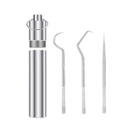 Stainless Steel Toothpick Set Accessories Portable Oral Cleaning Tools Artefact Outdoor Picnic Camp Reusable Household Travel Storage