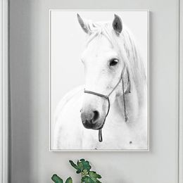 Modern White Horse Canvas Painting Nordic Animals Print and Poster Wall Art Abstract Pictures for Living Room Home Decor Cuadros