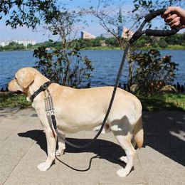 Hundeleine Honden Chien Dog Belt Perros Pettorina Cane Pet Products Harnais Dogs Arnes Para Perro Pets Accessories LJ201111