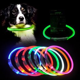 Dog Collars & Leashes Charging Pet Collar Adjustable LED Tube Flashing Night Glowing Luminous Safety Pets CollarDog