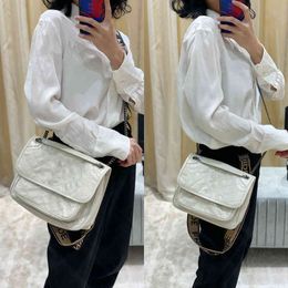 Designer Evening Bag Handbag Luxury Paris Brand Women Girl Purse Fashion Shoulder Versatile Casual Shoulder Bags 3TB7
