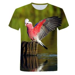 parrot top UK - Men's T-Shirts Parrot Print T-shirt Hip Hop Bird Animal 3D Cool Street Men And Women Oversized 5XLT Shirt Casual Top