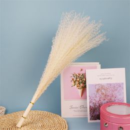 Decorative Flowers & Wreaths Wholesale Natural Dried Pampas Grass Bunch Colorful Real Bouquet For Diy Home Wedding Centerpiece Table Decorat
