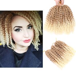 African Curly Dreadlocks Kinky Hair Extension Wig