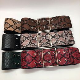 Belts 2022 Four Seasons PU Leather Women Belt Wide Fashion Trend Corset Snake Decorative Versatile Irregular With Skirt Coat