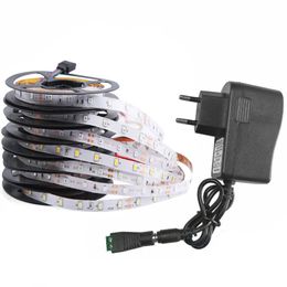 Strips LED Strip Light 5M SMD 2835 60/120/240 Led/m Warm White Flexible Tape Power Adapter For Room DecoerationLED