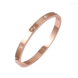 The Beautiful Couple Bracelet Cubic Zirconia Gold With Stainless Steel Women Jewelry Gift Card Buckle Brac Bangle Inte22