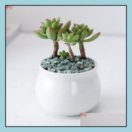 Planters Pots Garden Supplies Patio Lawn Home White Ceramic Small Succent Flowerpot Mini Table Plant Pot Ctu Dhfqp