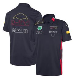 F1 T-shirt Formula 1 Driver T-shirts Short Sleeved Team Polo Shirts Racing Shirt Mens Jerseys Tops Quick Dry Plus Size Motoc254D