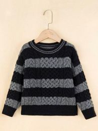 Toddler Boys Two Tone Drop Shoulder Sweater SHE01