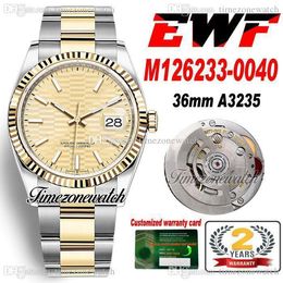 EWF 36mm 126233 A3235 Automatic Mens Watch Two Tone Yellow Gold Golden Fluted Dial 904L Steel OysterSteel Bracelet Warranty Card Super Edition Timezonewatch R8
