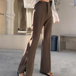 Buy High Waist Formal Pants For Women 
