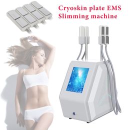 2 IN 1 cryolipolysis shape machine cryoskin fat freeze ems cryotherapy slimming beauty equipment