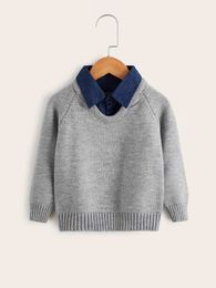 Toddler Boys Contrast Collar Raglan Sleeve Sweater SHE01