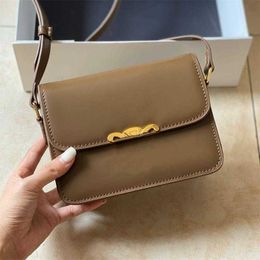 Designer Triomphe Bag Smooth Cowhide Bag Women Teen Cuir Handbag Golden Chain Shopping Bags Lady Wallet 18cm 22cm