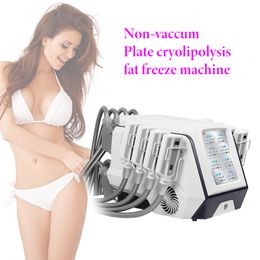 Factory Price Cryo plates Pads Body Shaping Cryoskin therapy Machine with 8 Cool Pads Handles