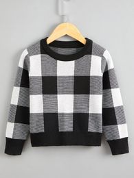 Toddler Boys Gingham Pattern Sweater SHE01