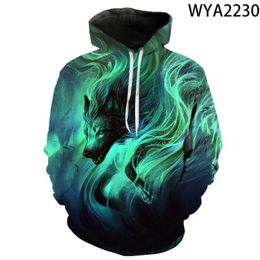 Men's Hoodies & Sweatshirts 2022 Fashion 3D Printing Hoodie Long Sleeve Men Ladies Pullover Sweatshirt Streetwear Boys Girls 110-6XL