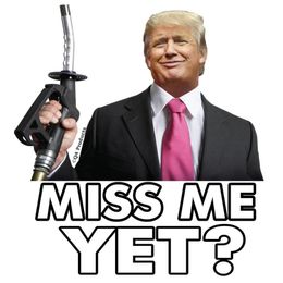 Party Favour 100Pcs For Trump Miss Me Yet Funny Car Stickers for Bumper Windshield Laptop Helmet Gas Pump Decoration Vinyl Waterproof Decals