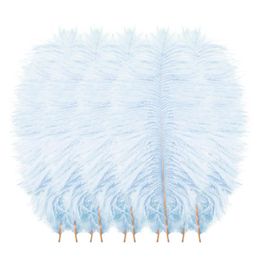 Party Decoration 10pcs/lot Natural Multicolor Ostrich Feathers Wedding Home Diy Floating Plumes Table Centerpiece Crafts 5GParty