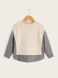 Toddler Boys Striped Print Drop Shoulder Sweater SHE