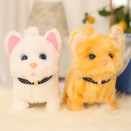 Electric Plush Simulation Display Mould Cat Tail Wagging Ass Shaking Toy Robot for Children Interesting