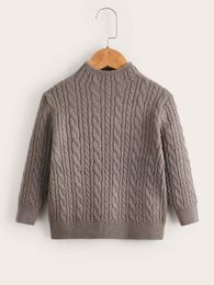 Toddler Boys Cable Knit Mock Neck Sweater SHE01