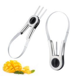 Mango Cutter Slicer Corer Dicer Stainless Steel Core Remover Tool Fruit Pulp Extractor for Large Mango Cantaloupe Watermelon