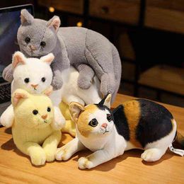 Kinds of Stuffed Lifelike Cats Cuddle Simulation Shorthair Cute Cat Doll Pet Toys Home Decor Gift For Girls Birthday present J220704