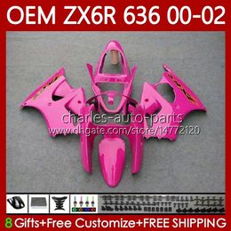 Injection Bodys For KAWASAKI NINJA ZX-636 ZX 6R 600 Glossy pink CC 6 R ZX636 ZX-600 00-02 Bodywork 133No.49 ZX 636 600CC ZX-6R ZX6R 00 01 02 ZX600 2000 2001 2002 OEM Fairing