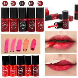 Lip Gloss 5 Colours Waterproof Long Lasting Multifunction Tint Dyeing Liquid Lipstick Blusher Korea Style Lips Cosmetics Kyle22